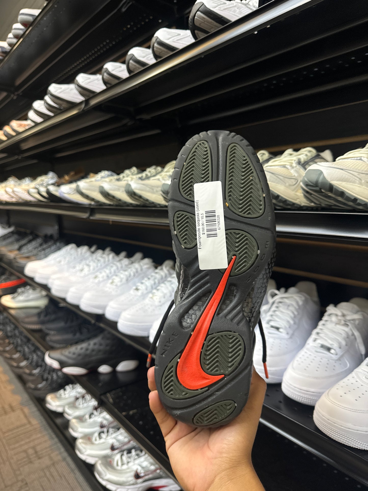 Foamposite sequoia (used)