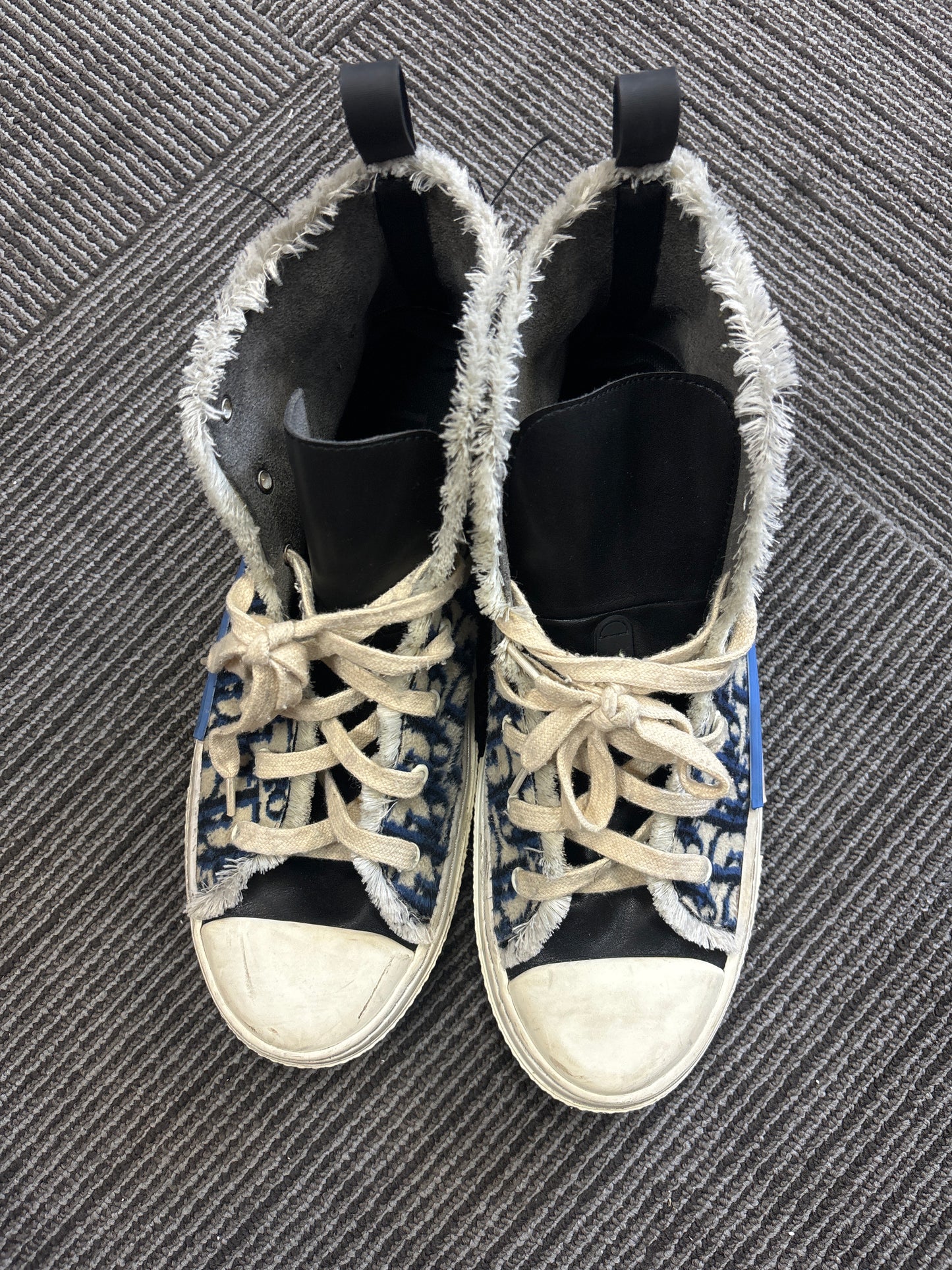 Dior B23 Tapestry (USED)