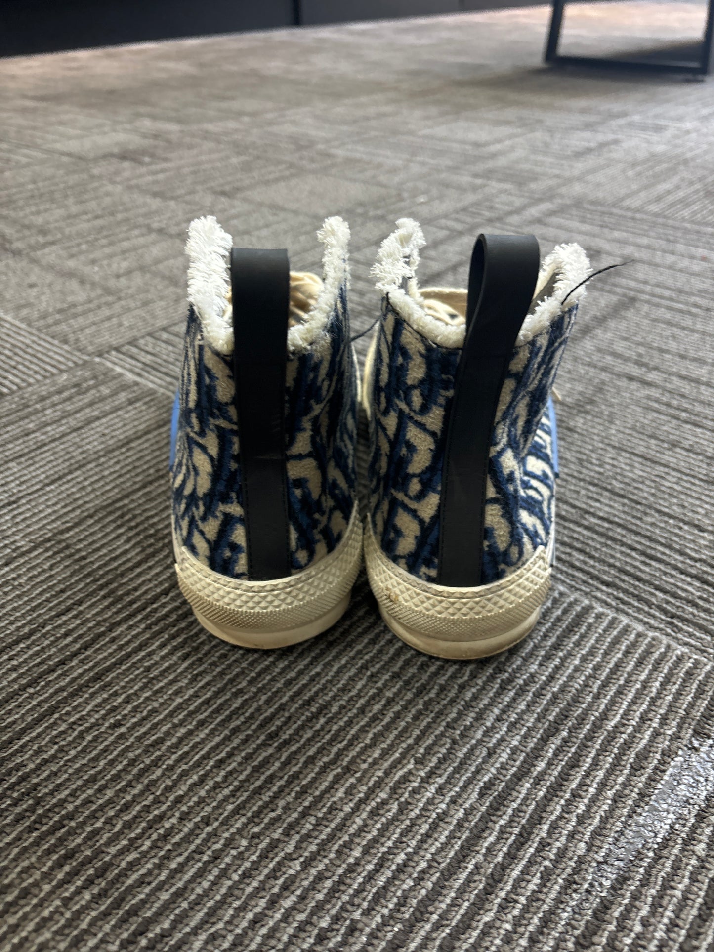 Dior B23 Tapestry (USED)