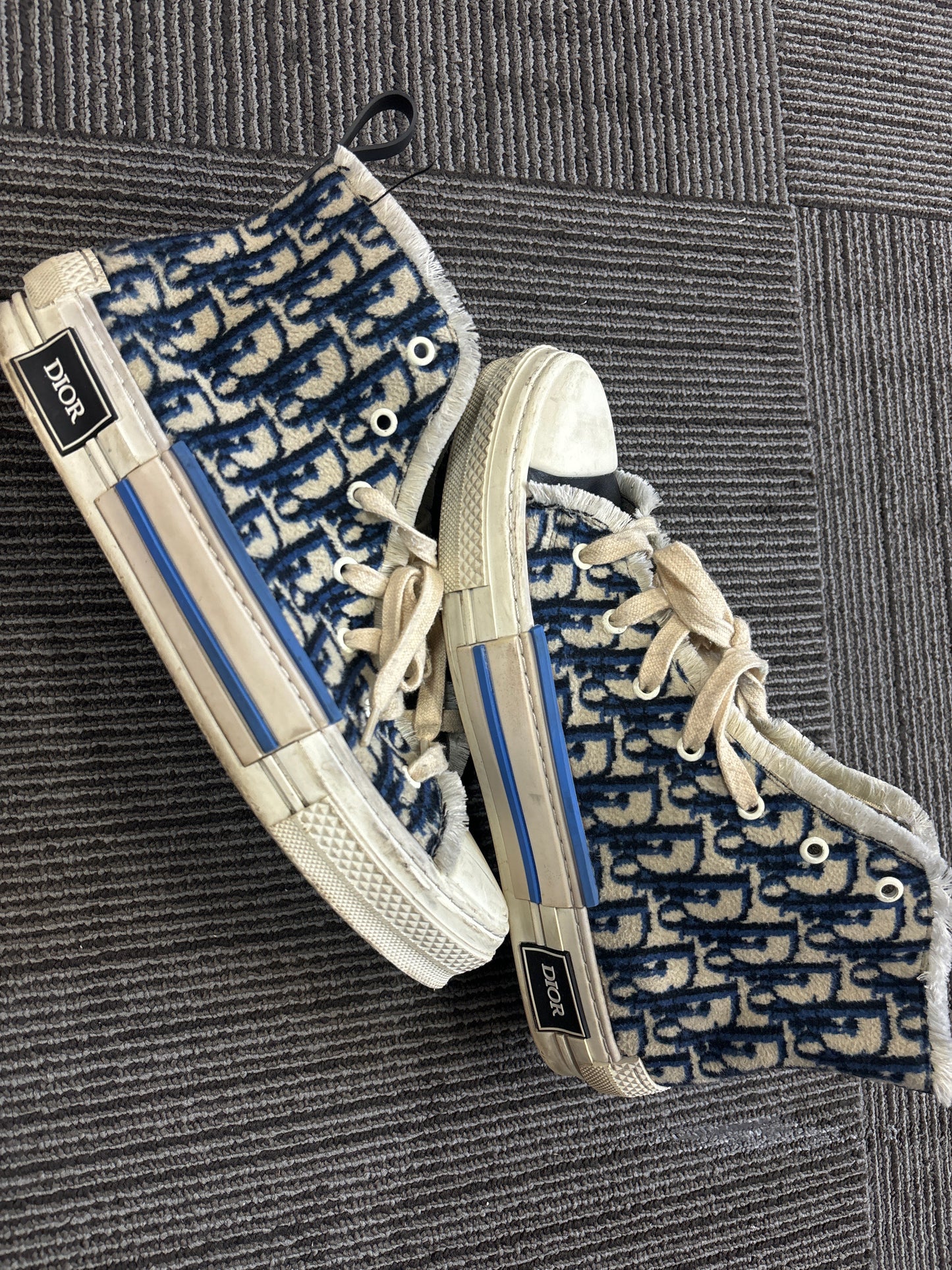 Dior B23 Tapestry (USED)