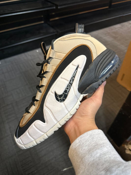 Air Max Penny Ratan Used