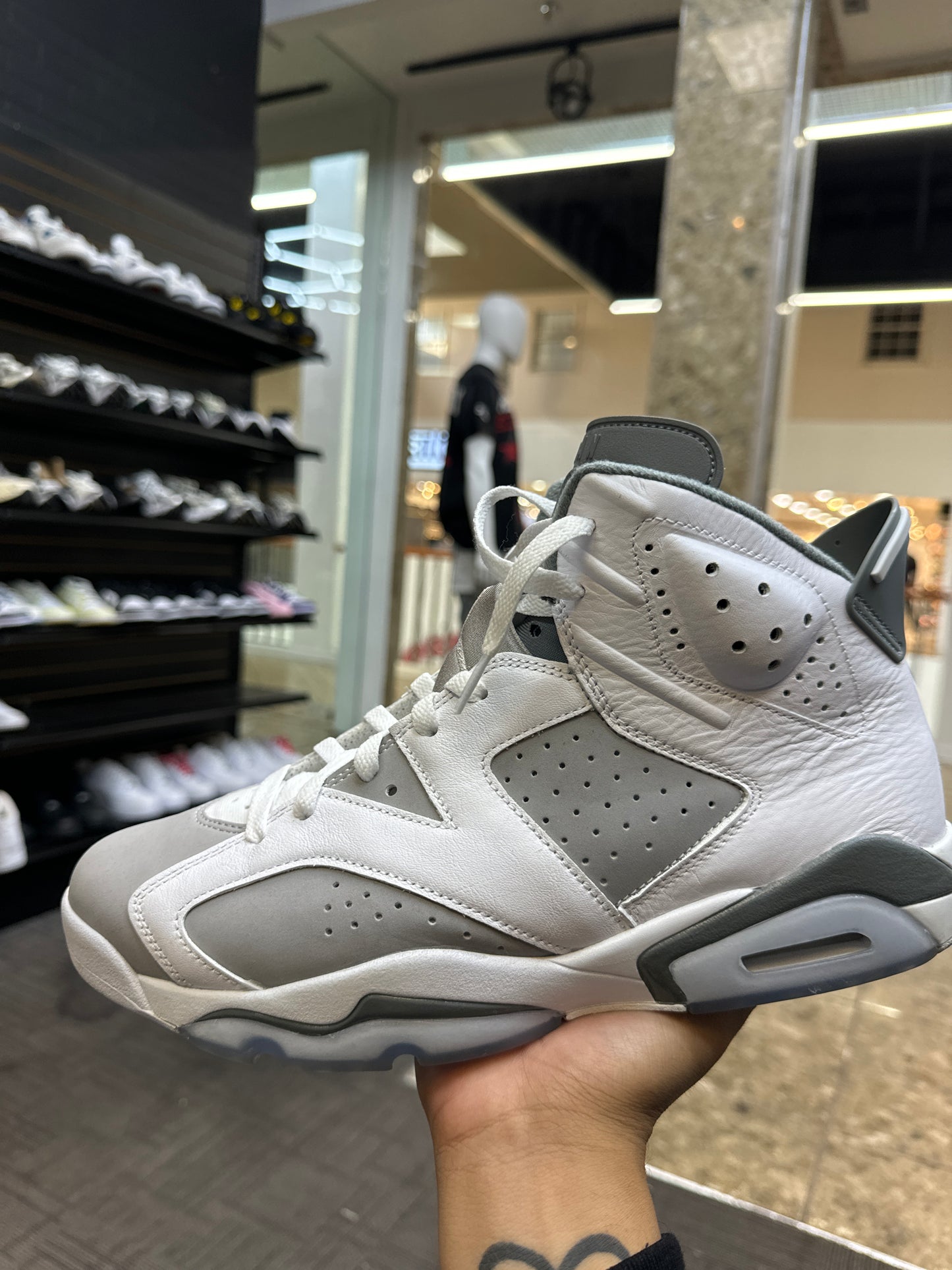 Jordan 6 Cool Grey Used