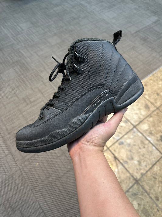 Jordan 12 winter black (USED)