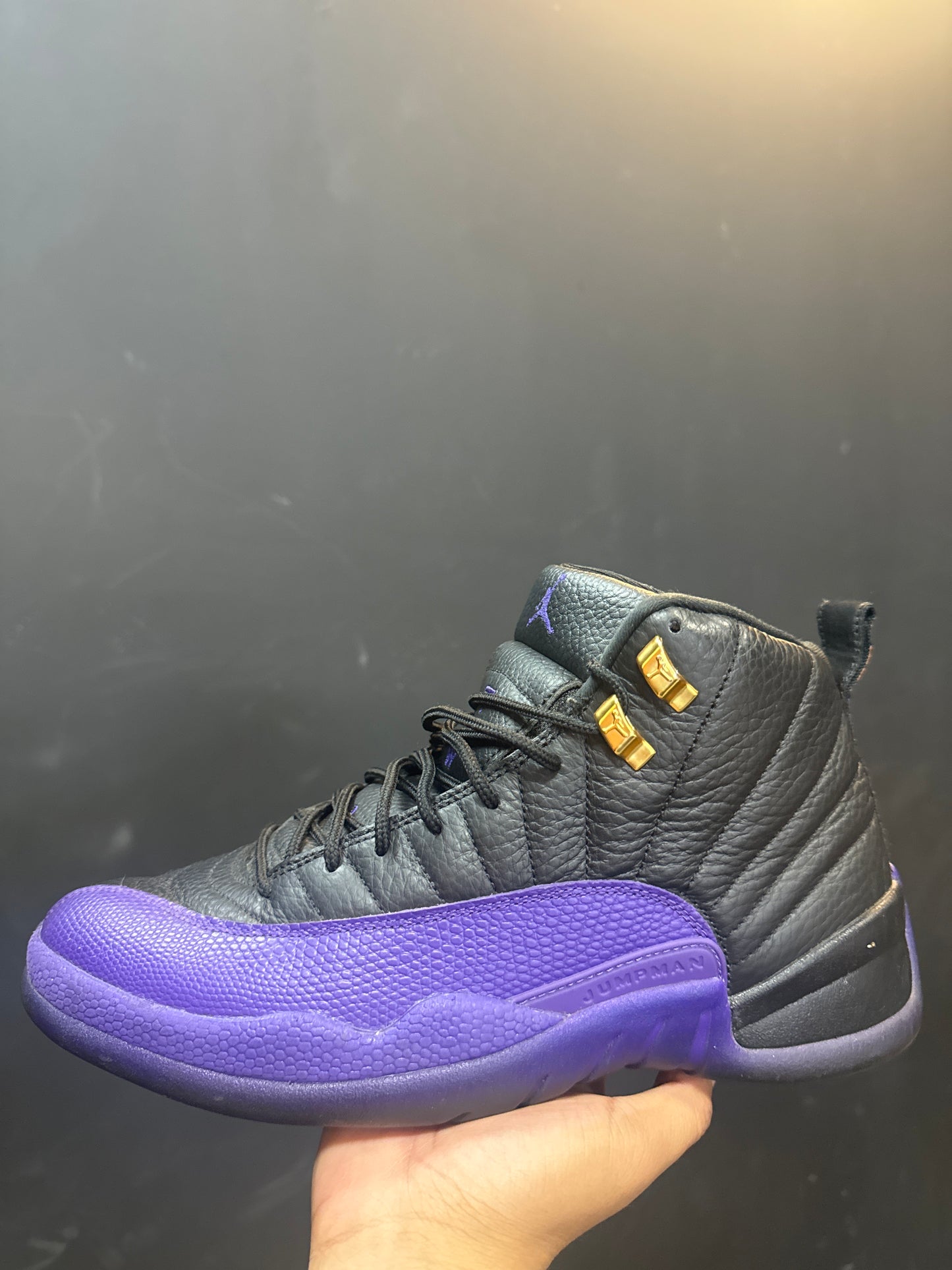 Jordan 12 Field Purple Used