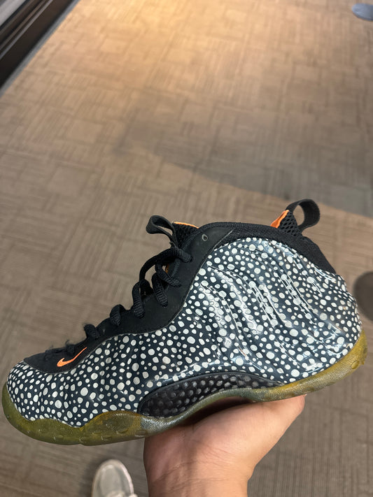 Foamposite Safari Used W Box