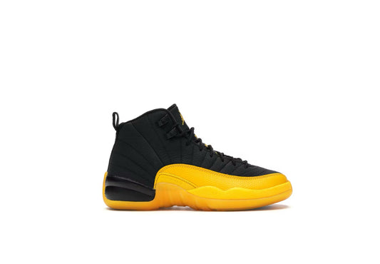 Jordan 12 University